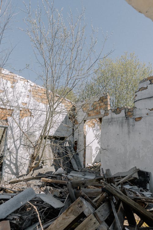 垂直ショット, 廃墟, 災害の無料の写真素材
