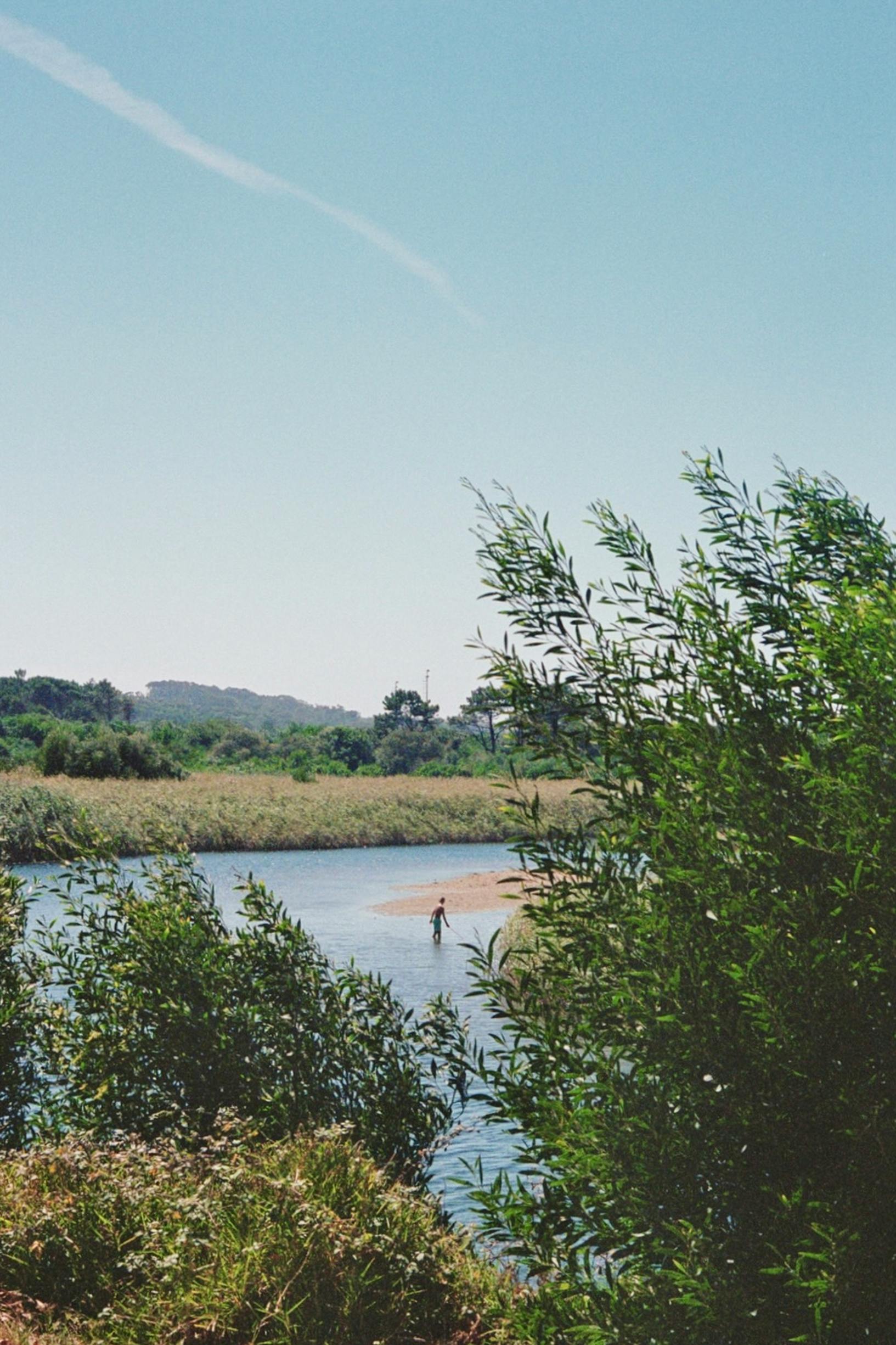 Tranquil river scene with lush vegetation under a clear blue sky.