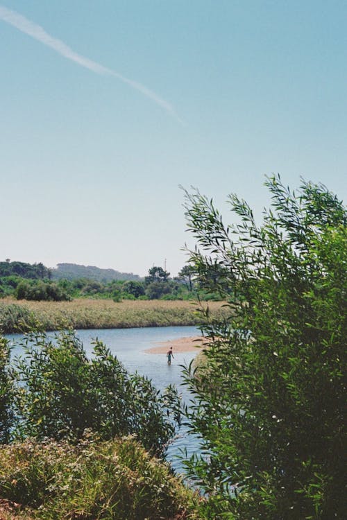 강, 나무, 농촌의의 무료 스톡 사진