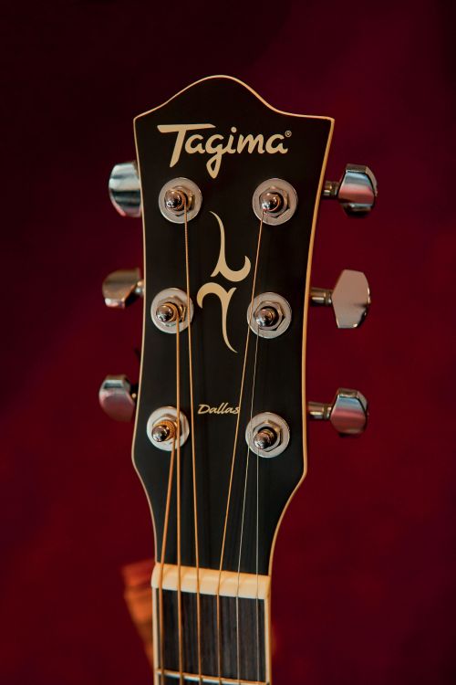 Close up of Tagima Guitar · Free Stock Photo