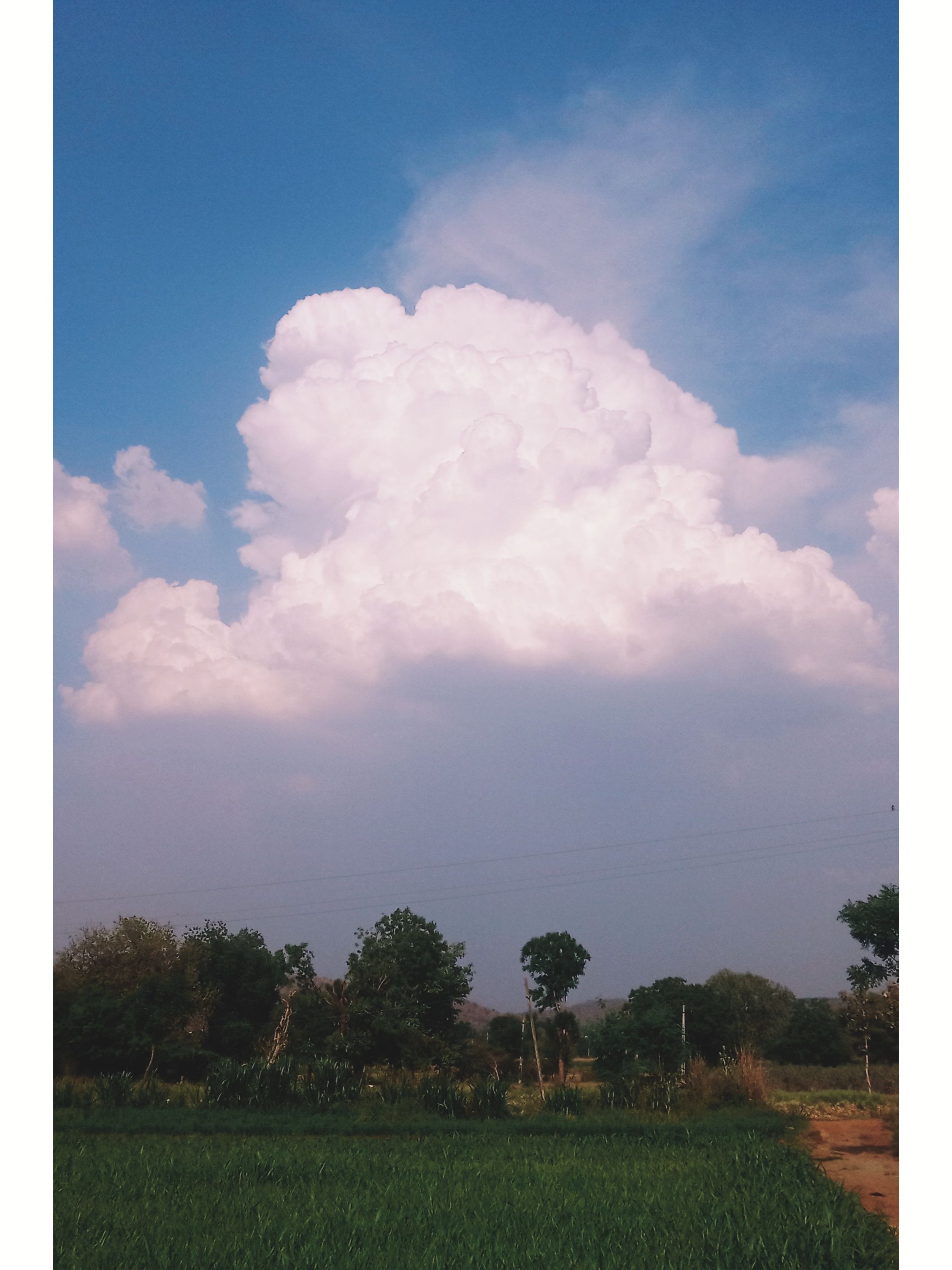 Serene white clouds over lush fields in Shamalpur, India, showcasing nature's tranquility.