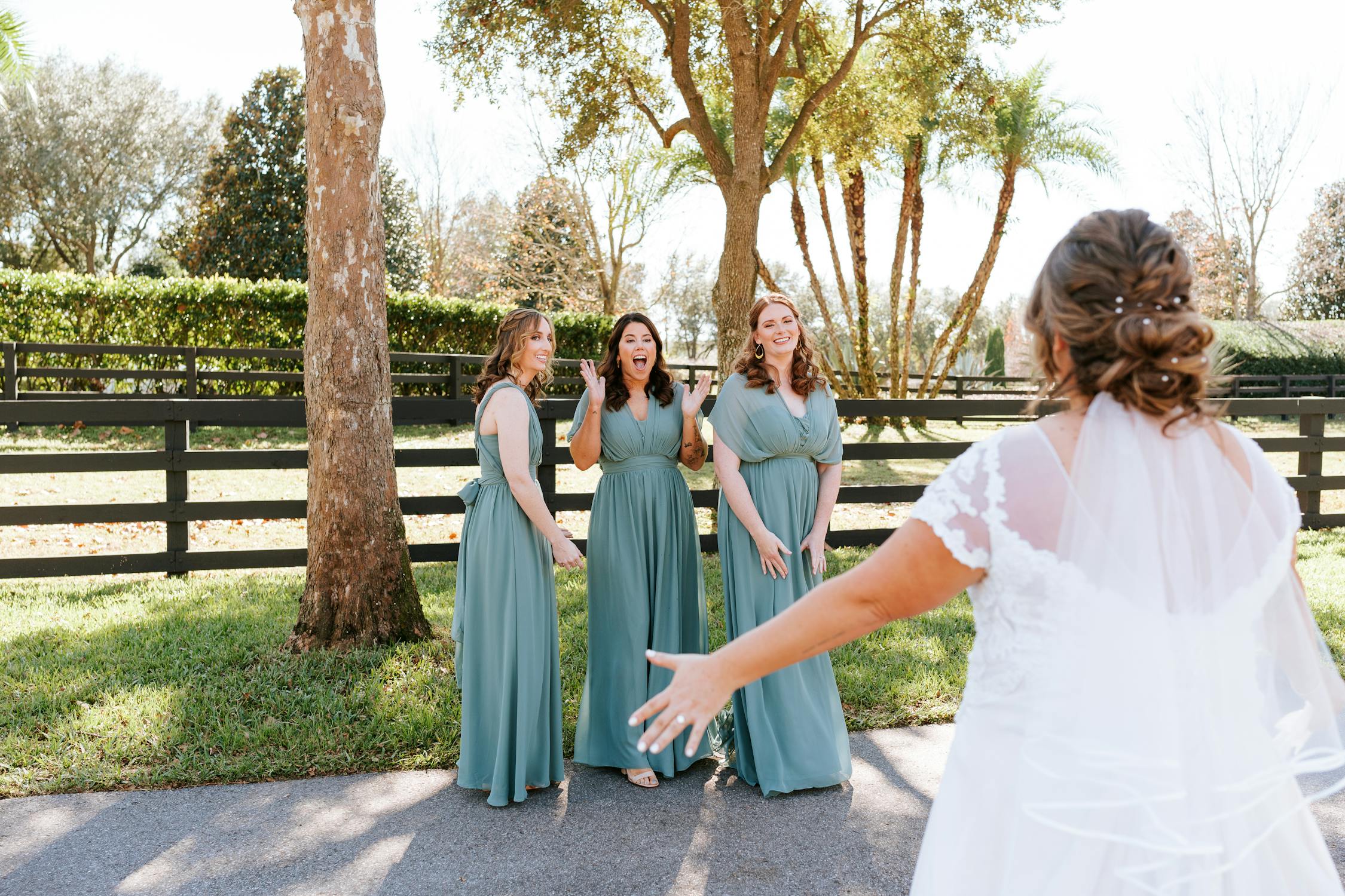 Mision Lago Estate Wedding · Free Stock Photo