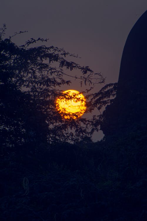 Darmowe zdjęcie z galerii z zachód słońca