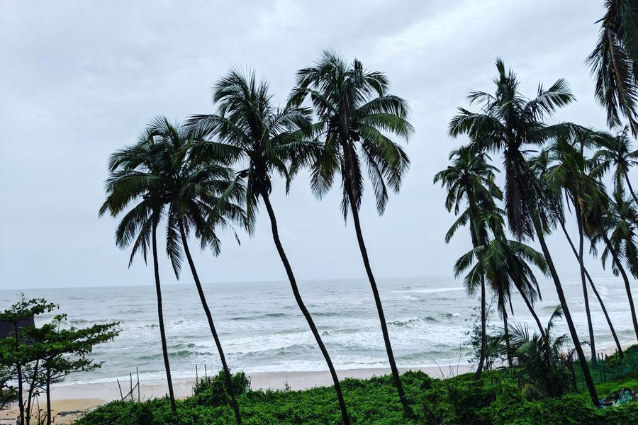 Serene view of palm trees against a calm beach and ocean waves.