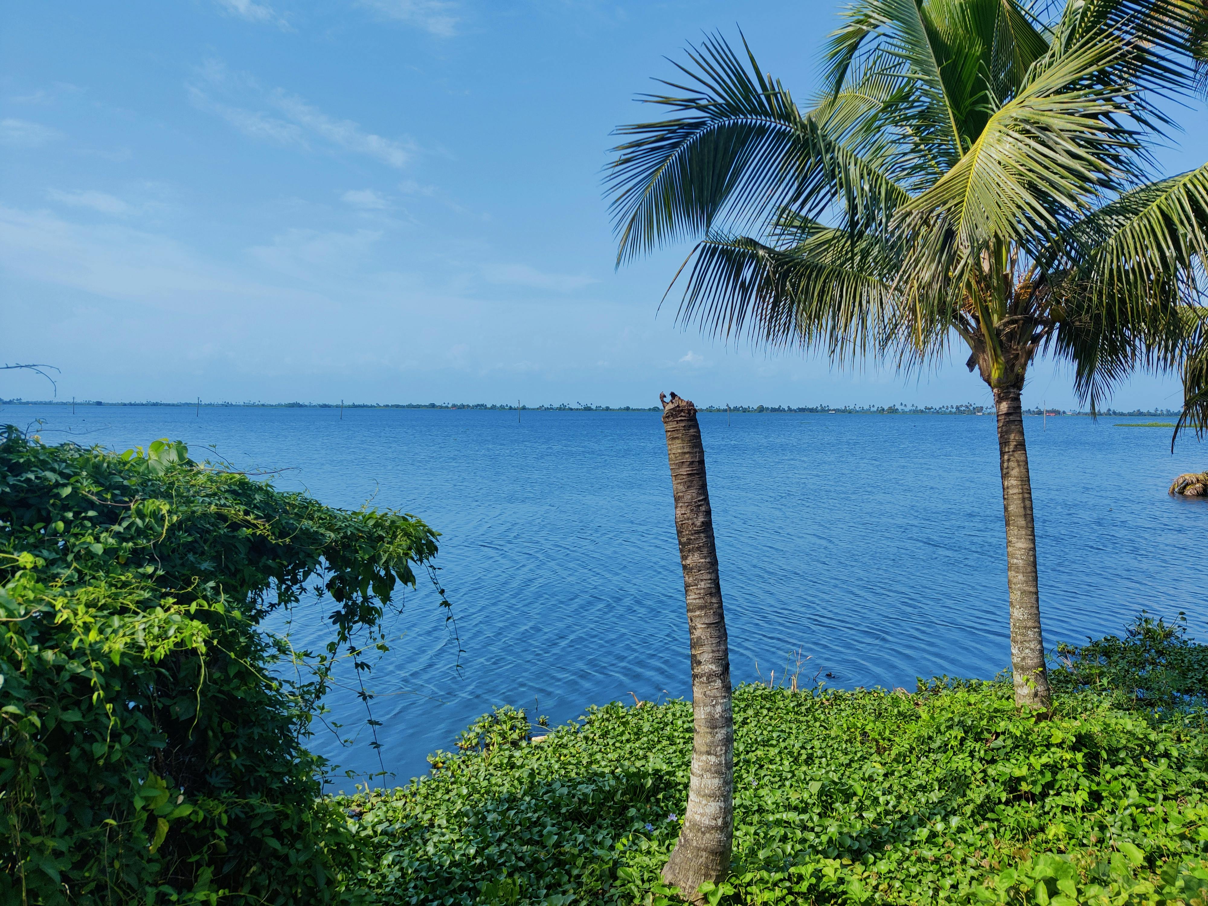 財經：美政府計劃增持關鍵礦產公司股權 強化資源安全