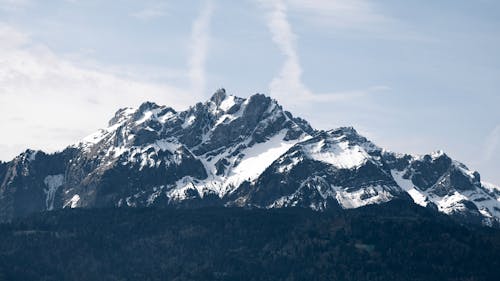 Forest and Mountain behind