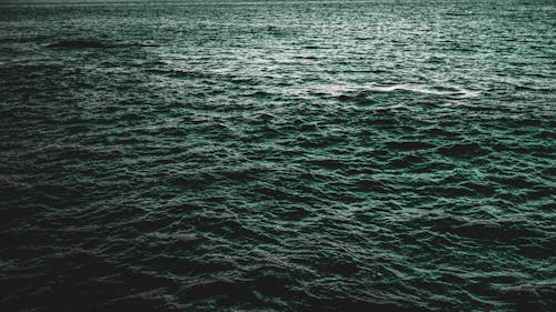 Základová fotografie zdarma na téma čeření, moře, oceán