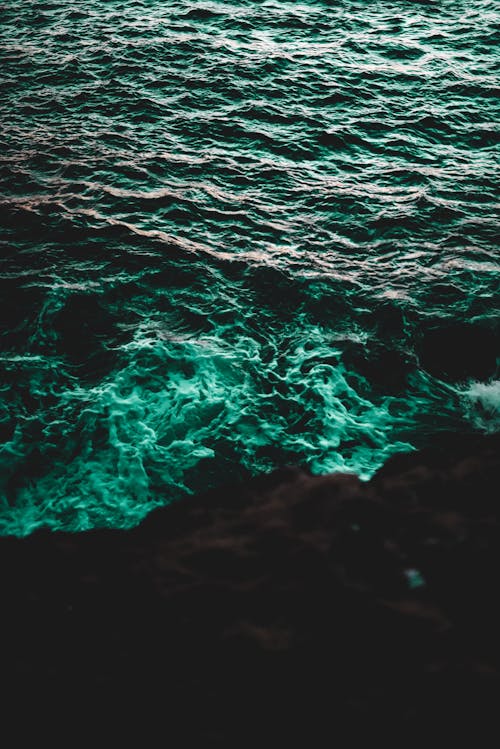Základová fotografie zdarma na téma barvy, hluboké moře, hluboký oceán