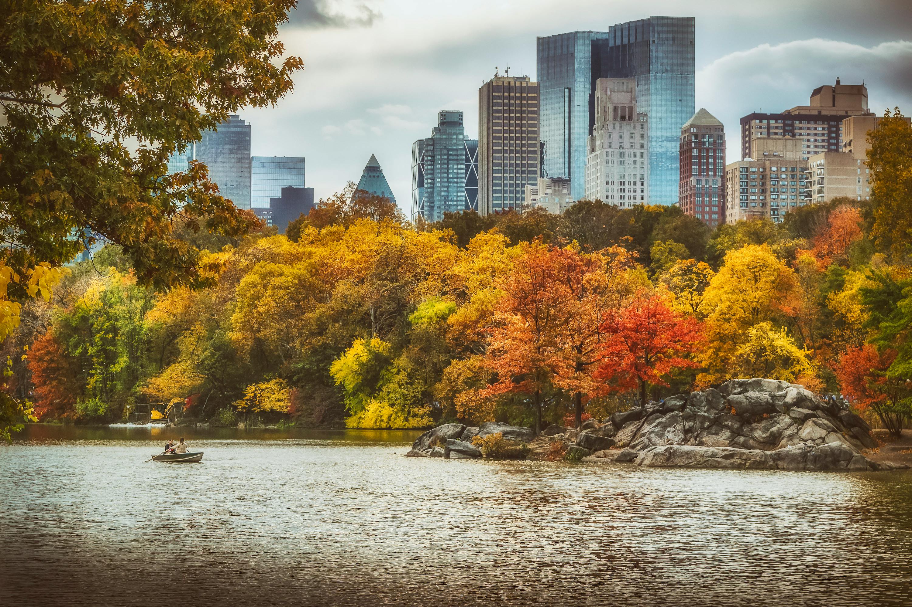 Free stock photo of central park, colors of autumn, new york city