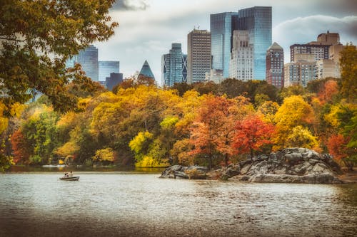 Free stock photo of central park, colors of autumn, new york city