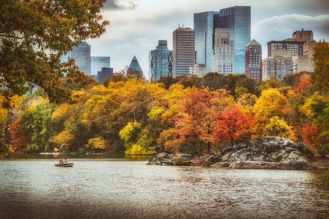 Free stock photo of central park, colors of autumn, new york city