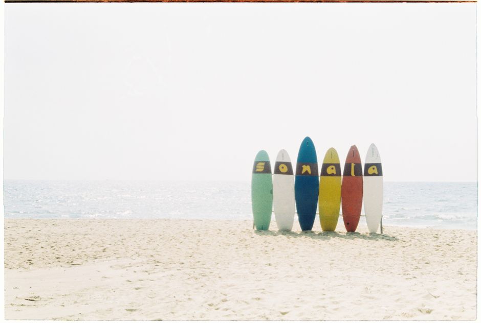 Vibrant surfboards lined up on a sunny beach with sea in the background.