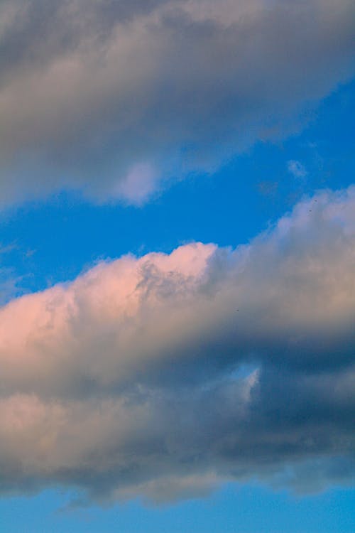 Foto stok gratis alam, awan, bidikan sudut sempit