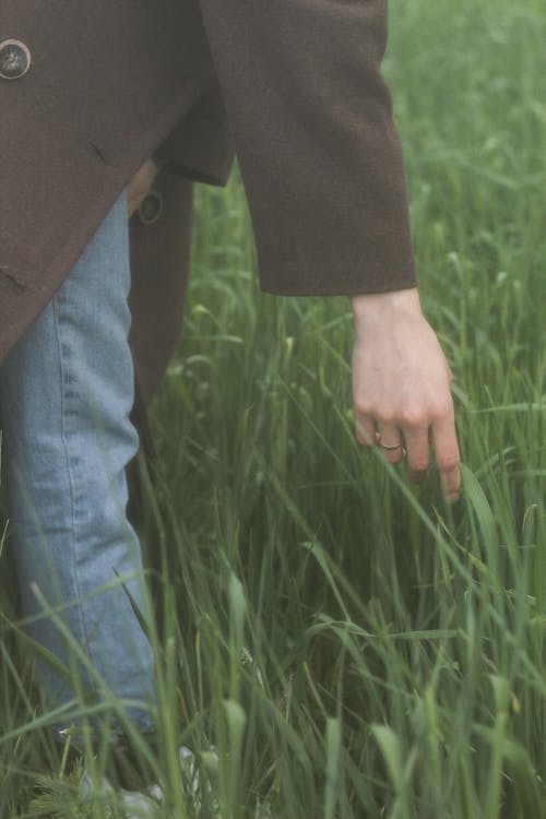 Бесплатное стоковое фото с вертикальный выстрел, высокая трава, луг