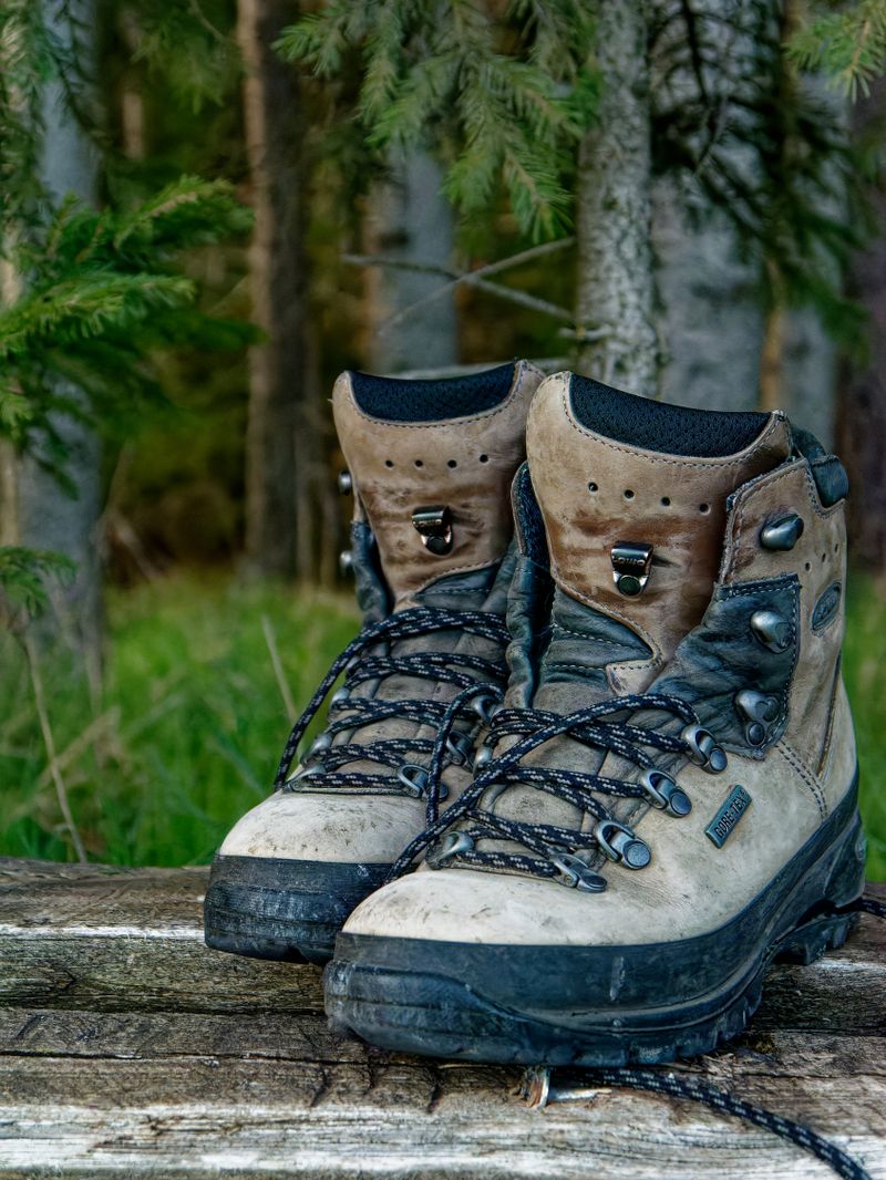 Wanderschuhe im Wald