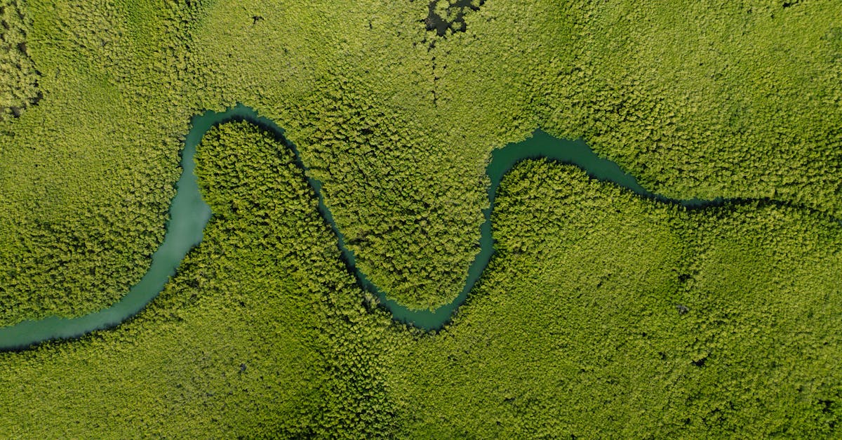 Gambia River Odyssey: Culture & Cruise