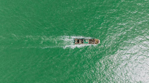 俯視圖, 划船, 水 的 免費圖庫相片