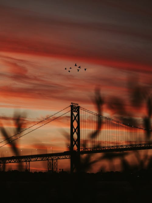 Birds Flying over Bridge at Sunset