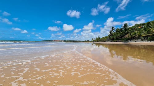 Sea Flow on the Beach