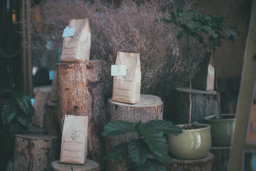 Photo of Three Brown Packs of Coffee on Wood Logs
