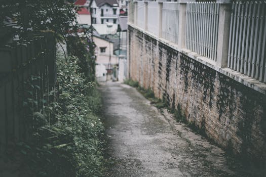 一条宁静的城市小巷里，风化的混凝土墙和郁郁葱葱的绿植在日光下静立