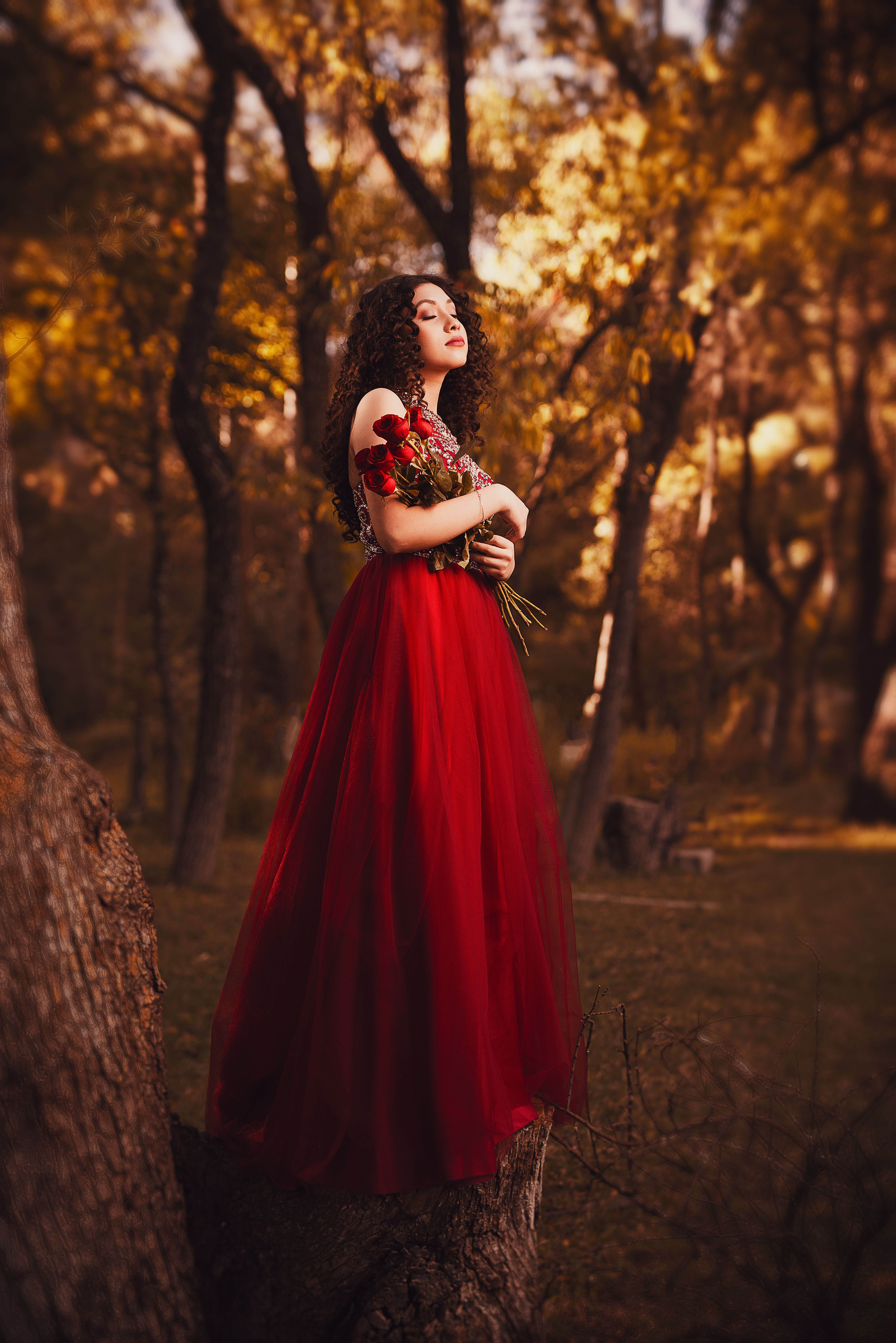 Young Woman in a Red Dress Holding a Bouquet of Red Roses Posing Outdoors   Free Stock Photo