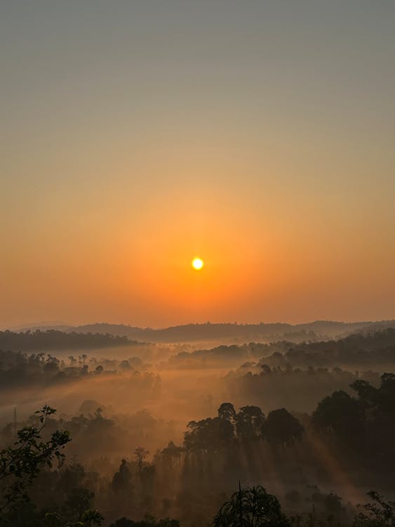 Základová fotografie zdarma na téma krajina, mlha, rozbřesk