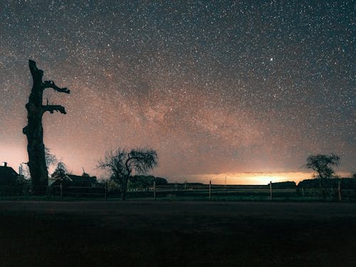 Foto d'estoc gratuïta de camp estrella, cel nocturn, fons de pantalla