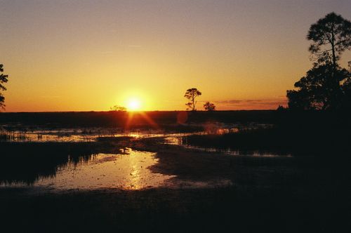 Free Serene sunset over marshland in Savannah, Georgia, capturing natural beauty and tranquility. Stock Photo