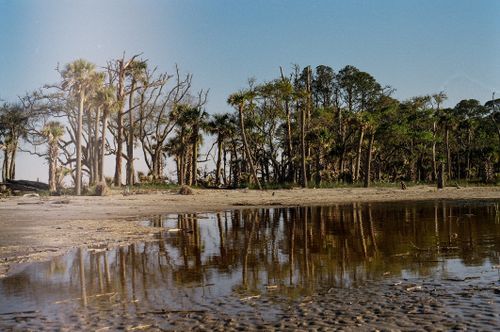 Free Explore the tranquil tree-lined beach scene reflecting in calm waters at Jekyll Island. Stock Photo