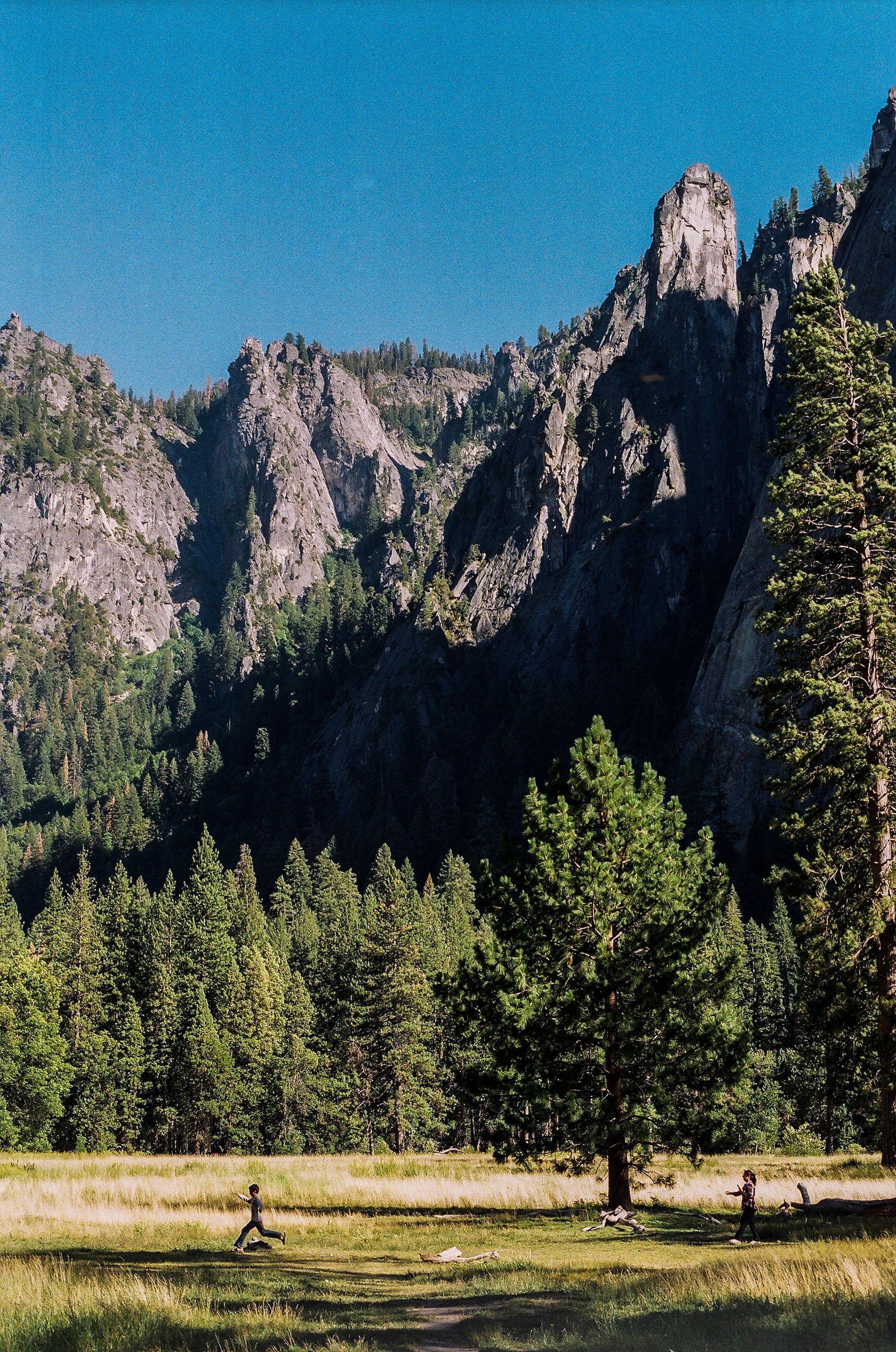 Landscape with Rocky Mountains and Trees · Free Stock Photo