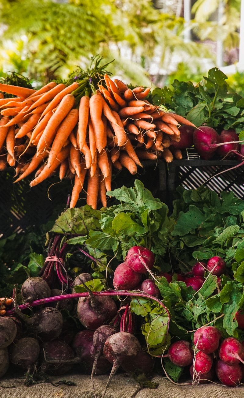 Organ Meats: The Nature-Based Superfood You're Missing (2026)