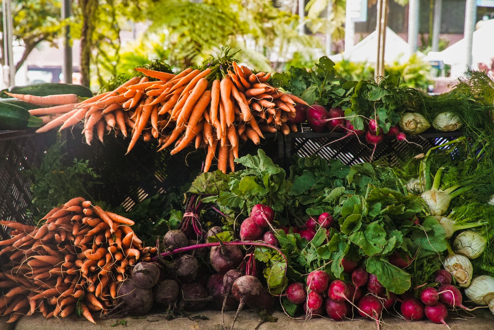 A marketplace that connects farmers to kitchens screenshot 2
