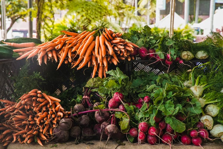 Radish And Carrots