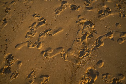 Foto Van Voetafdrukken Op Zand