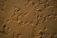 脚印散落在沙滩上，温暖的日落光照亮了