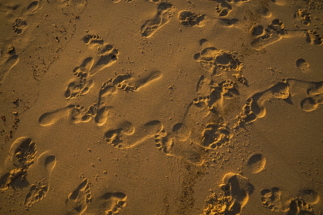 Ingyenes stockfotó homok, lábnyomok, mark témában