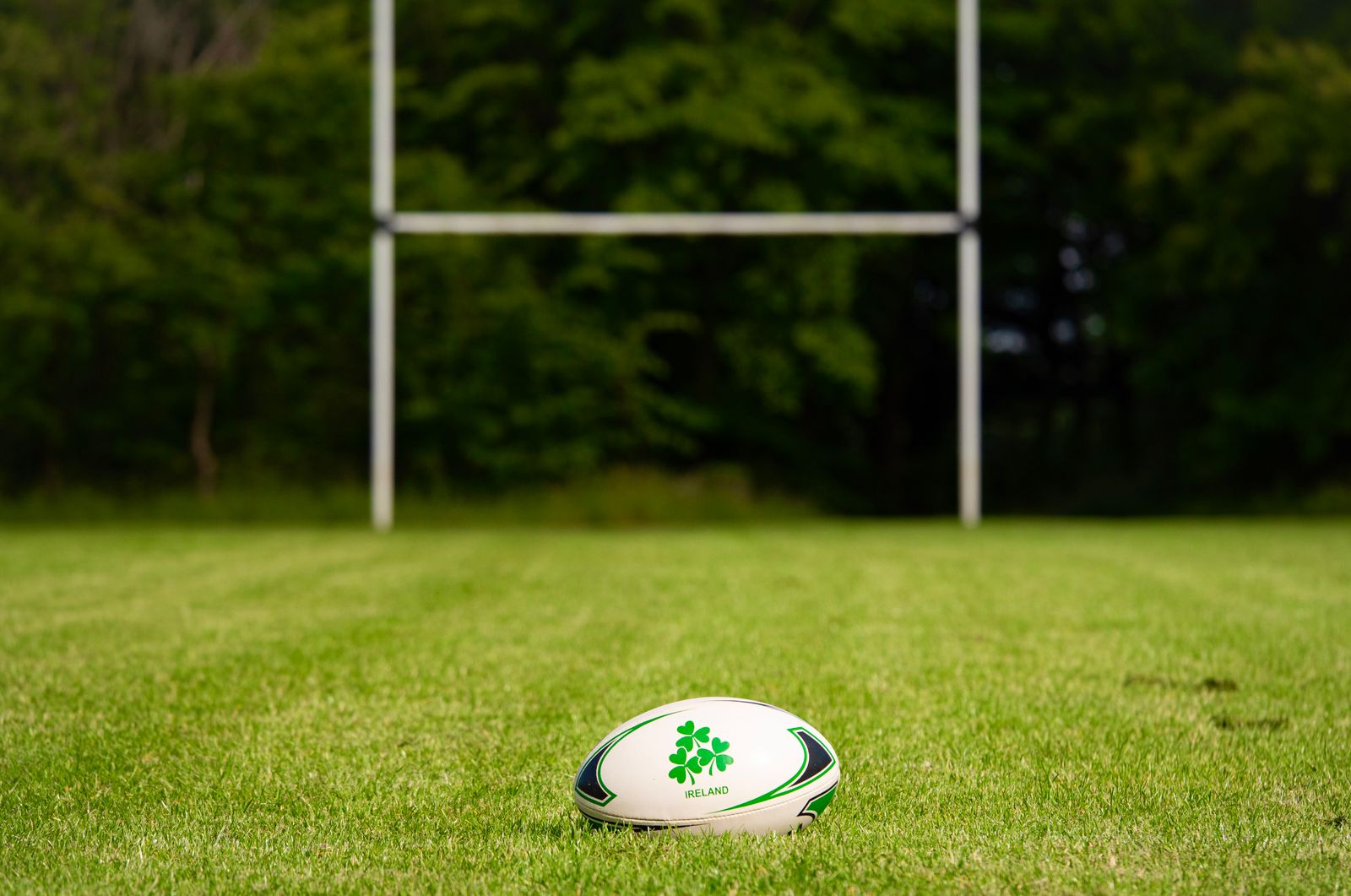 Rugby goalposts standing over empty green pitches