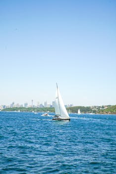 帆船在悉尼港充满活力的蓝色水域中巡航，城市天际线作为背景