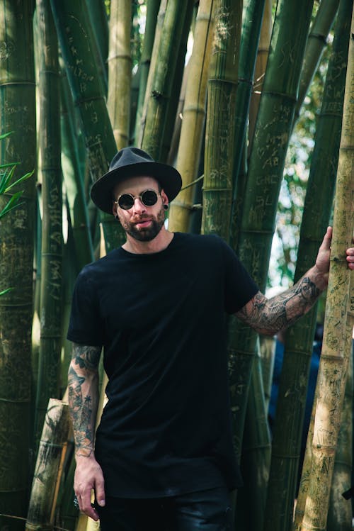 Hombre Sujetando La Planta De Bambú Con Gafas De Sol Y Sombrero Fedora