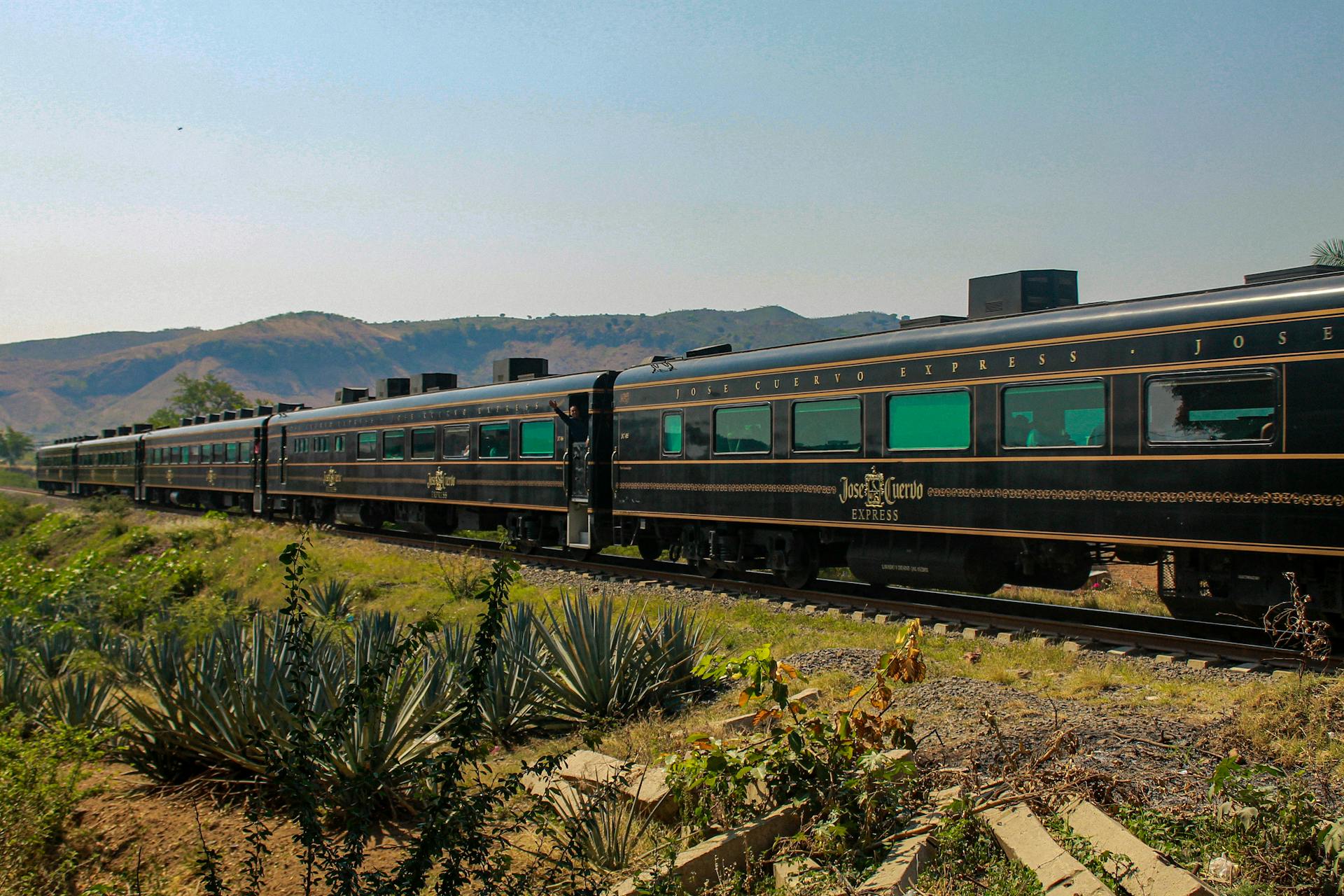 Jose Cuervo Express train traveling through scenic agave fields in Tequila, Mexico under a sunny sky.