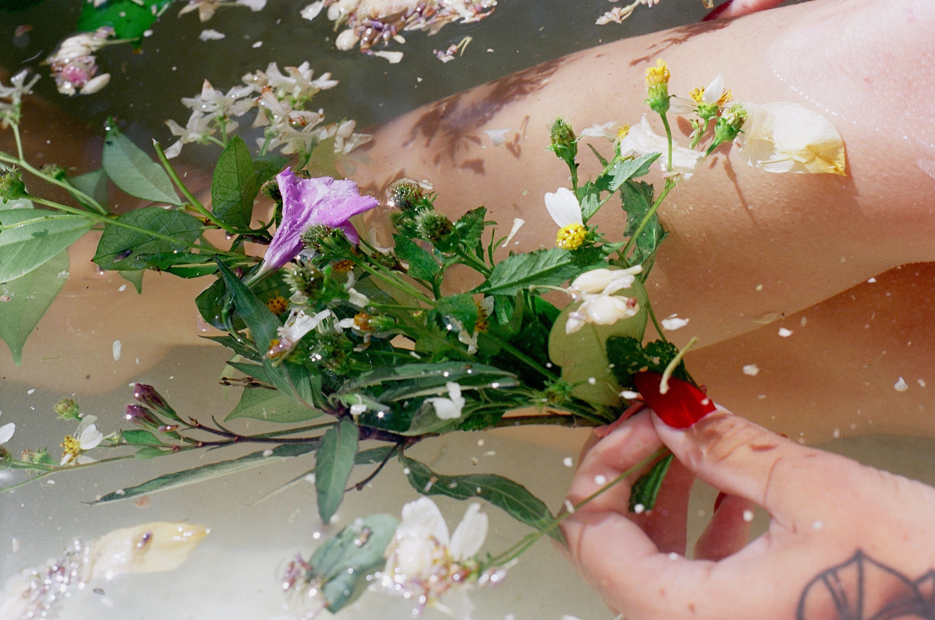 Aesthetic floral arrangement in a tranquil water setting, evoking calm and natural beauty.