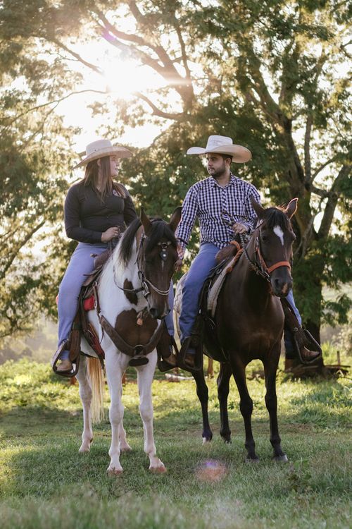 Free A couple riding horses through a sunlit countryside with trees and sunlight in the background. Stock Photo
