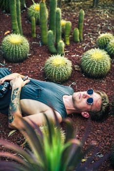 一名戴着太阳镜的男子在花园的仙人掌丛中放松身心，享受阳光和大自然