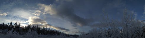 在冬日宁静的全景中，白雪覆盖的树木映衬着多云的天空