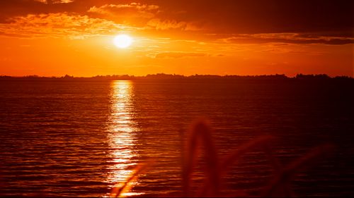 Free A stunning sunset with golden hues reflecting off the tranquil ocean surface, creating a serene ambiance. Stock Photo