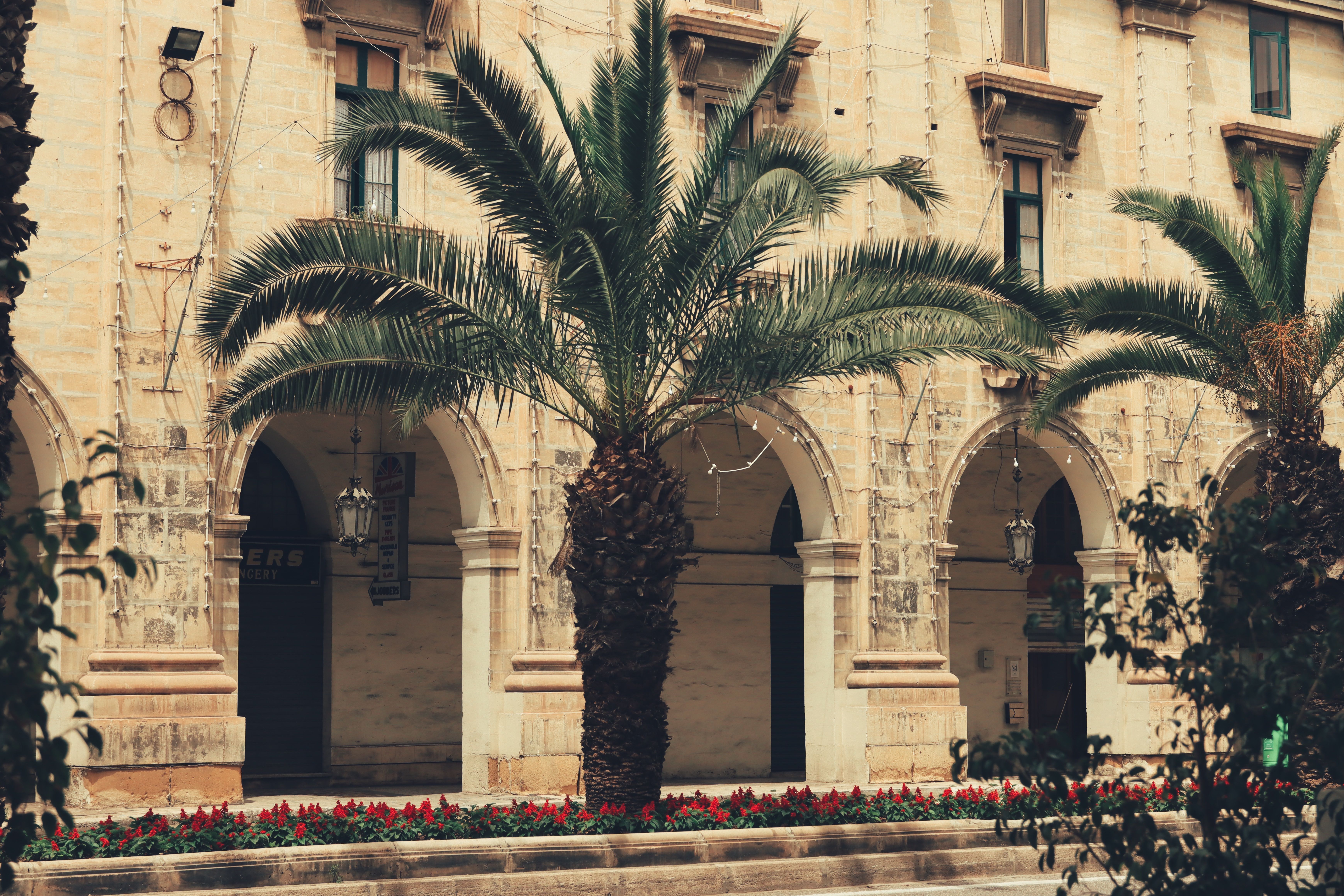 Palm Trees near Building in Valletta · Free Stock Photo