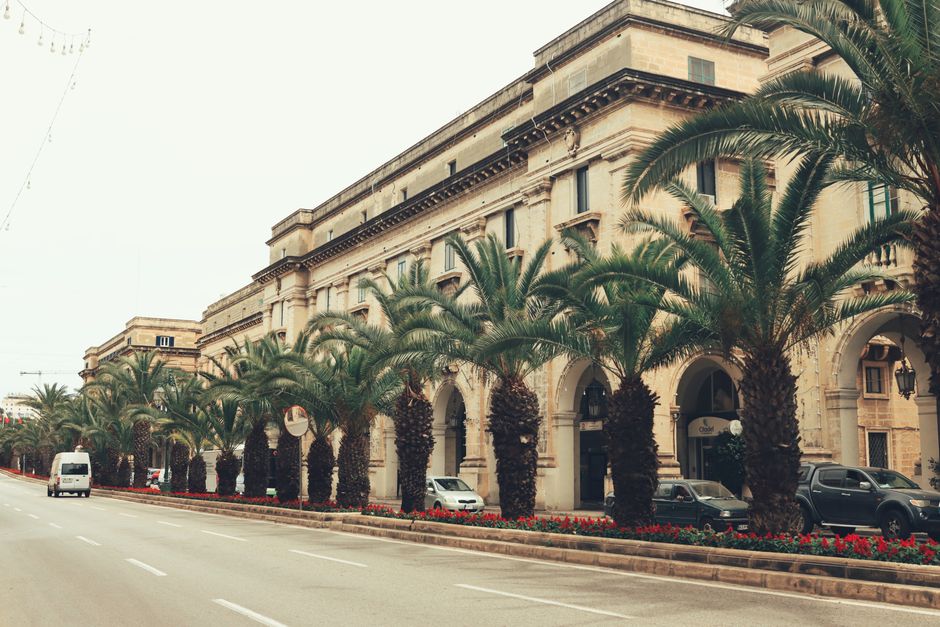 Elegant architecture and lush palm trees line a tranquil street in Valletta, Malta.