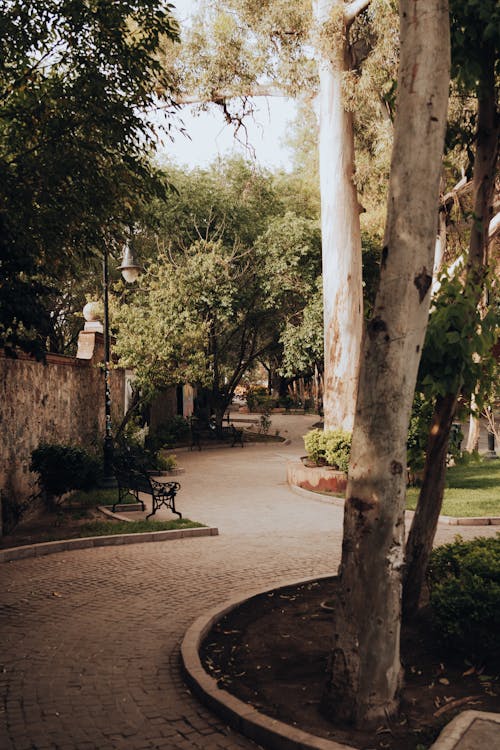 Alley in Park