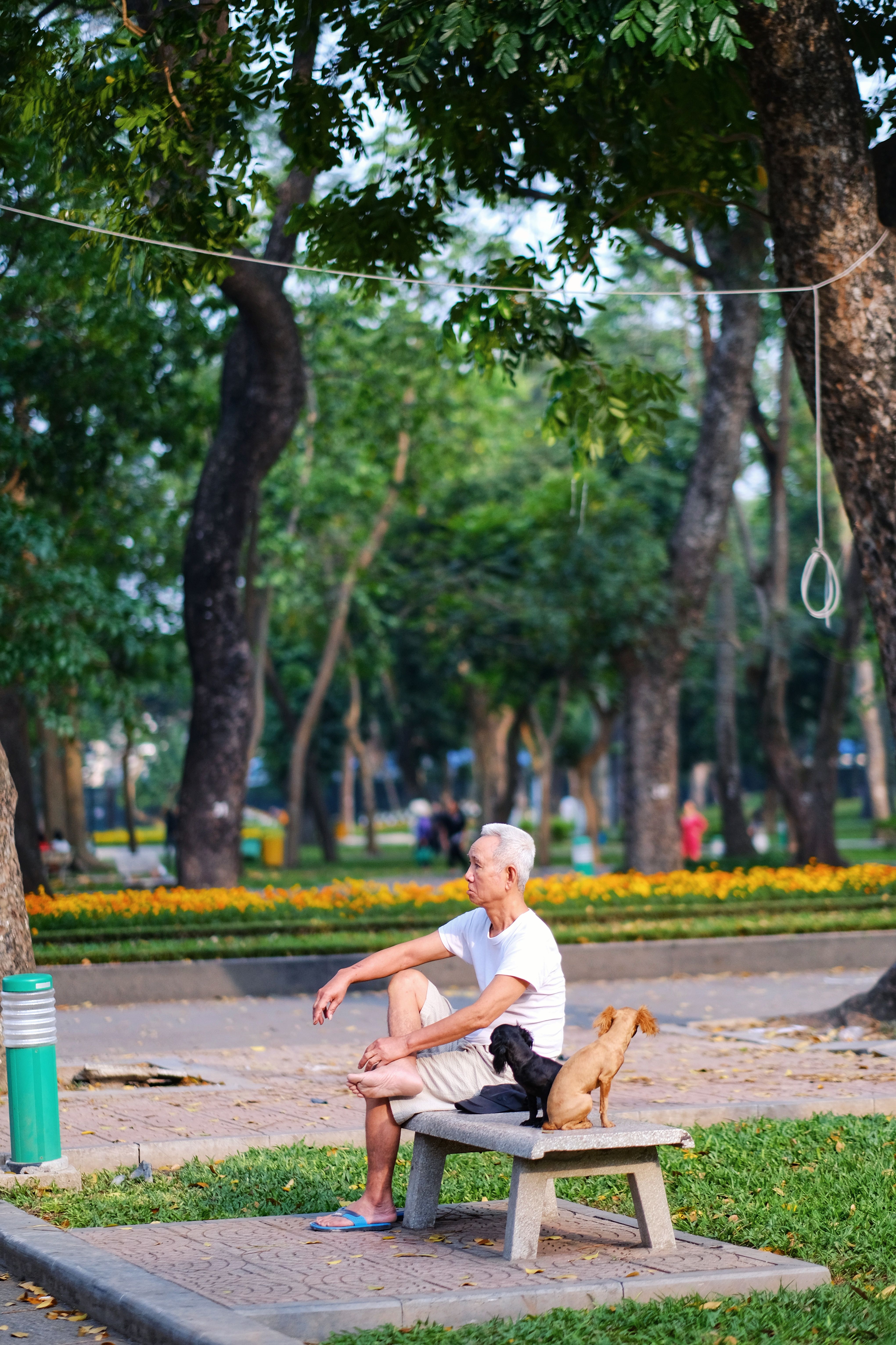 Man Sitting with His Two Dogs on a Bench in a Park · Free Stock Photo